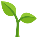 🌱